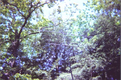 First image of group 6