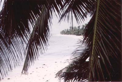 The beach area on Cocos directly behind our operating positions